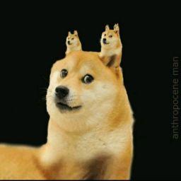 sơɴ 7D sơɴ ʜᴏàɴɢ