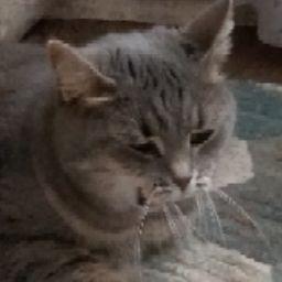 Степан Кучерявый