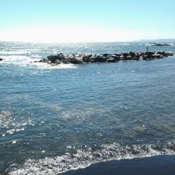 Maria Rosaria Picone