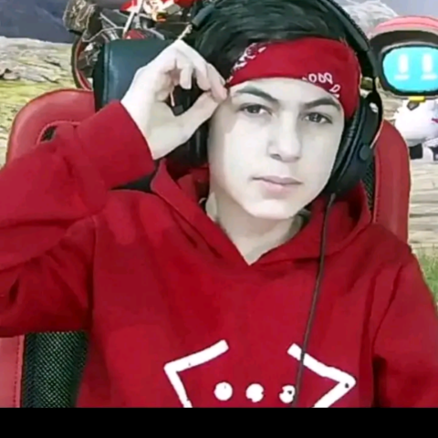 محمد شيخ