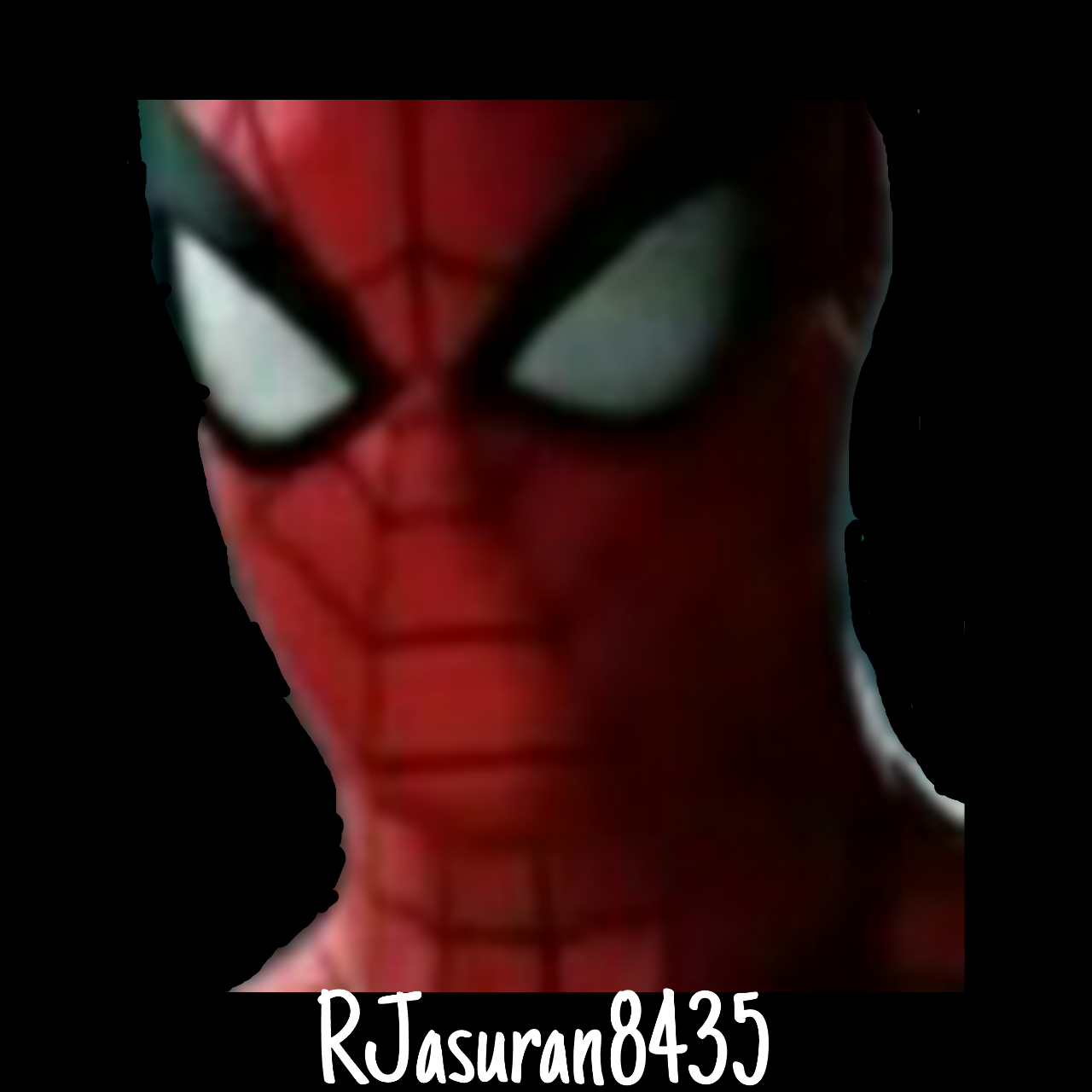 RAVIN Enterprises8435