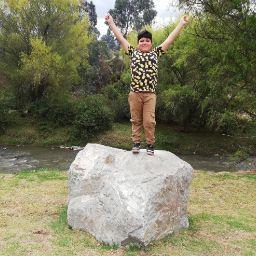 pelsito 302038293829