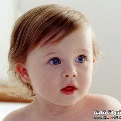 Wsaam alkssdy Wsaam alkssdy