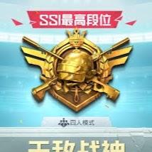 [和平精英]中文