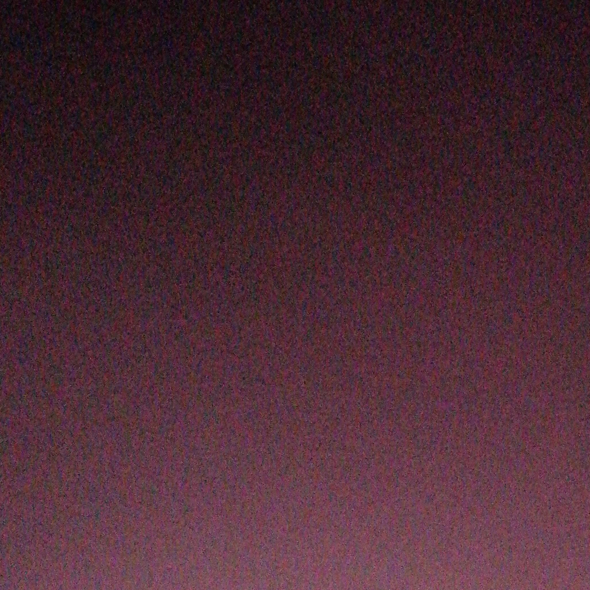 Данил Дикий