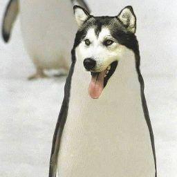 คิดชื่อไม่ออก