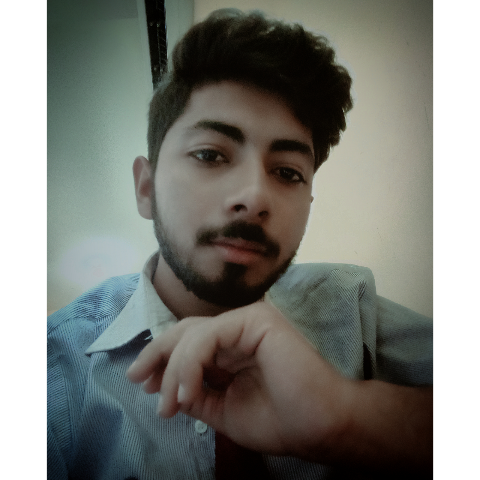 Malik Ali