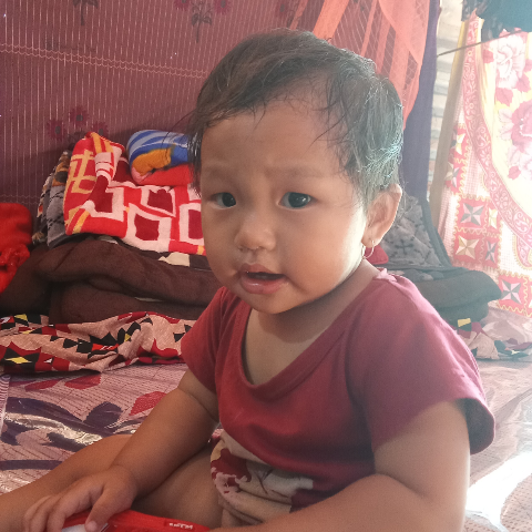 Jangminlun Palum khongsai