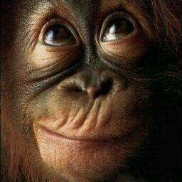 俺の彼女をアイコンにした