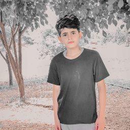 yahya kamal