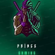 PriNCe Gaming