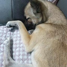 ㄱㅅ소중한오늘