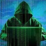 Programmer scientist