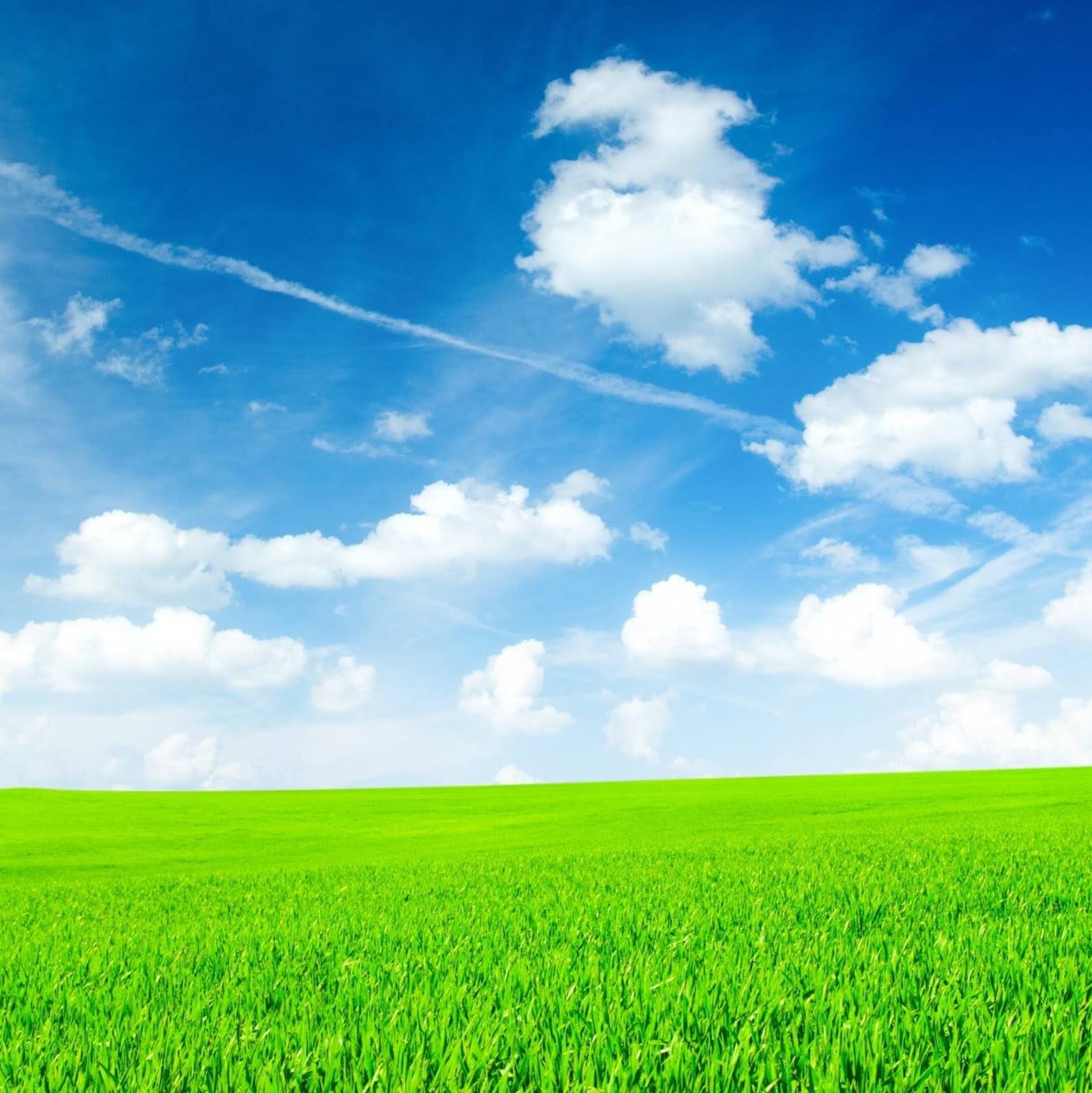 Alaraz Wari Setiawan