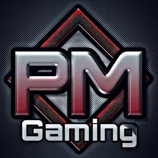 pm gaming