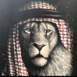 ابو کلب ابو کلب6gus