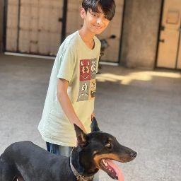 ایوب ابراهیمی