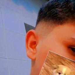 Shadow The Only (shadow7z)