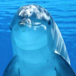 Arévalo Gregorio Álvaro Álfred