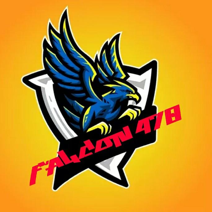 FALCON 478