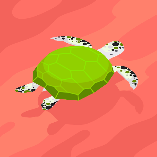 turtle slowly