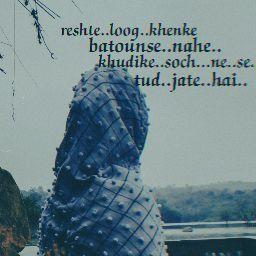 Shaik Shameer1430
