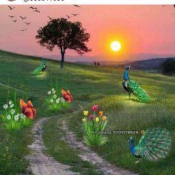 Rajesh Barwar