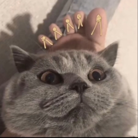 Hoàng Minh Khang 7A2