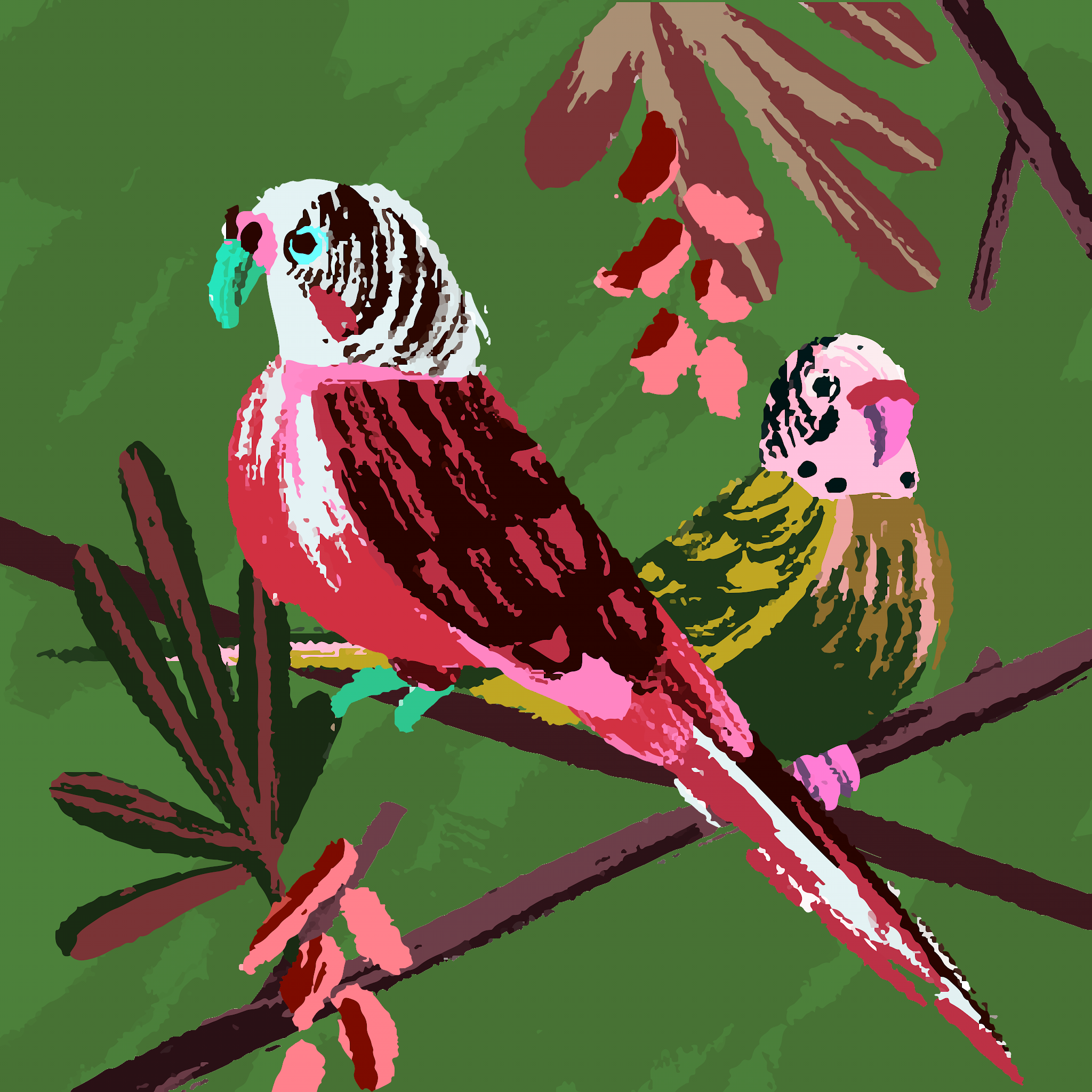 abdifatax maxamed xusen