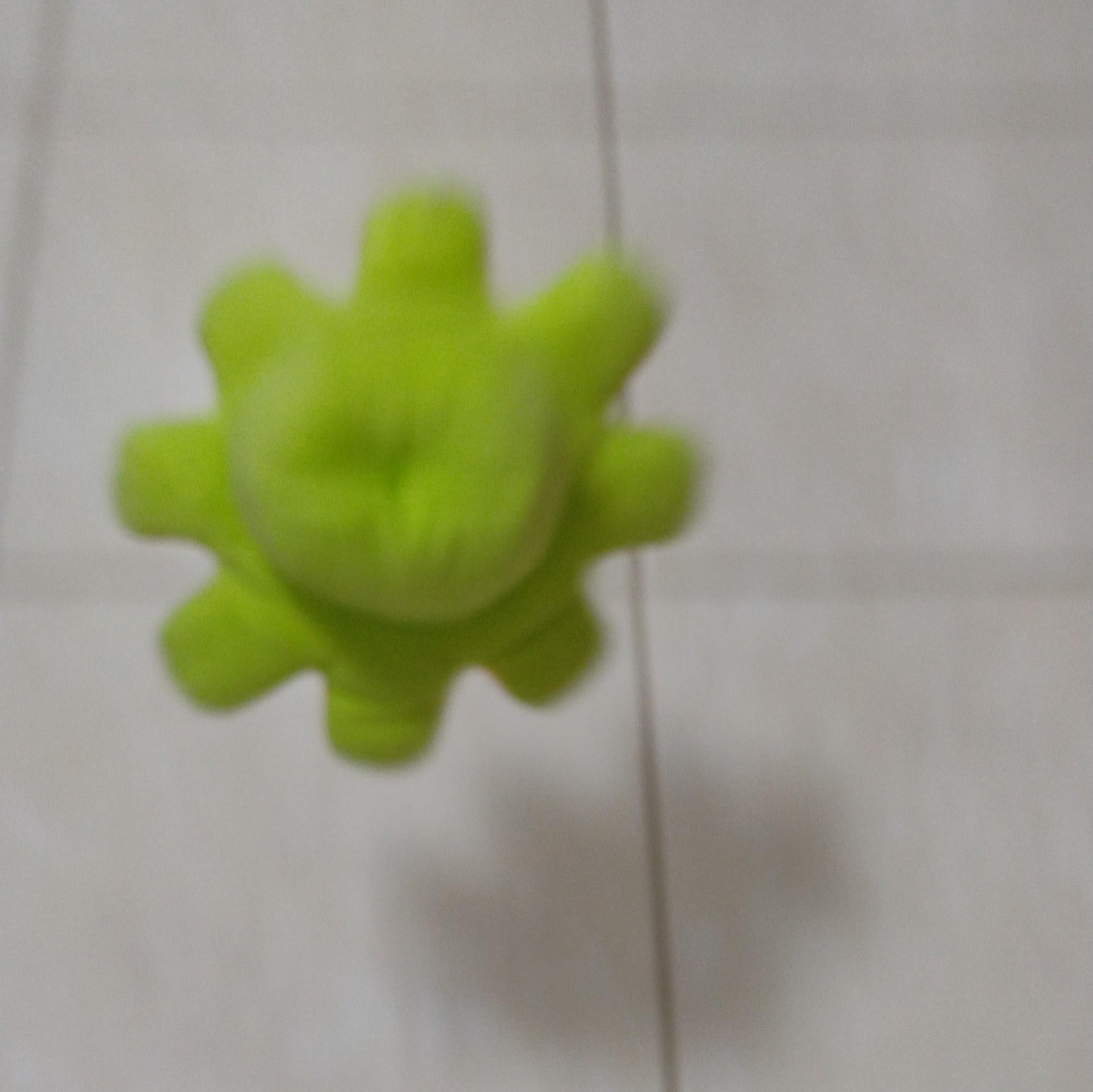 ROBERTO BORGES DOS SANTOS