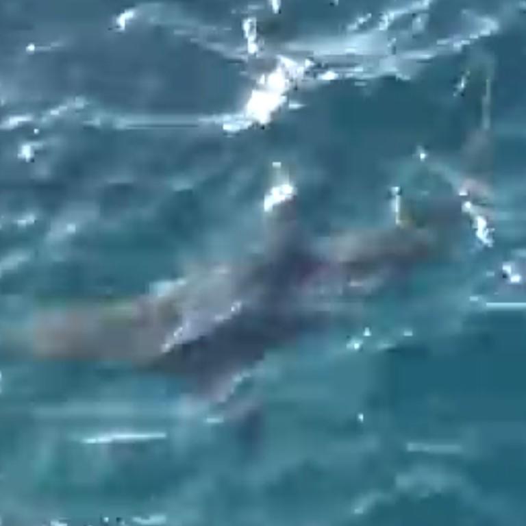 ﾑｹﾑｹ╰⋃╯ﾑｹﾑｹ