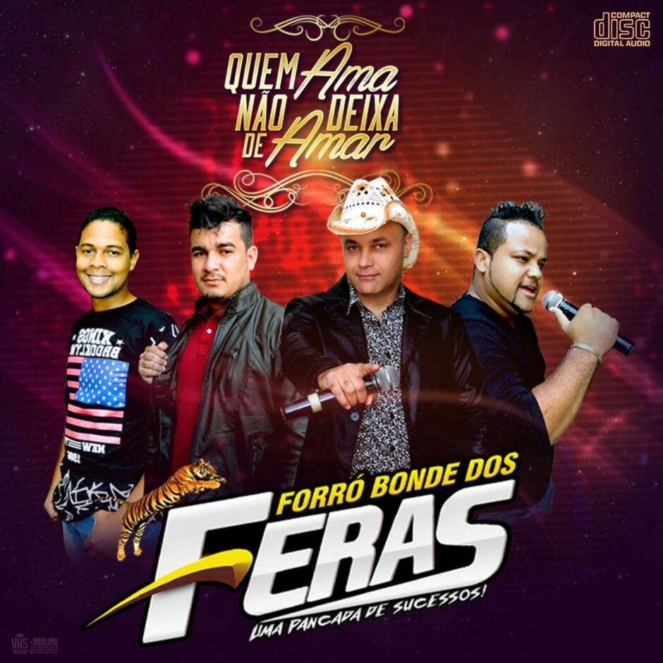 forró bonde dos feras