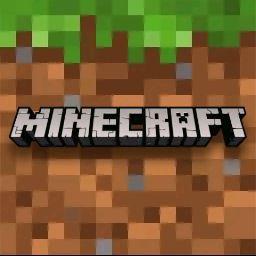 Minecraft gamer