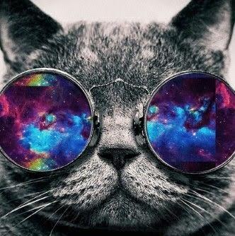 Gabriel Marquez Fuentes