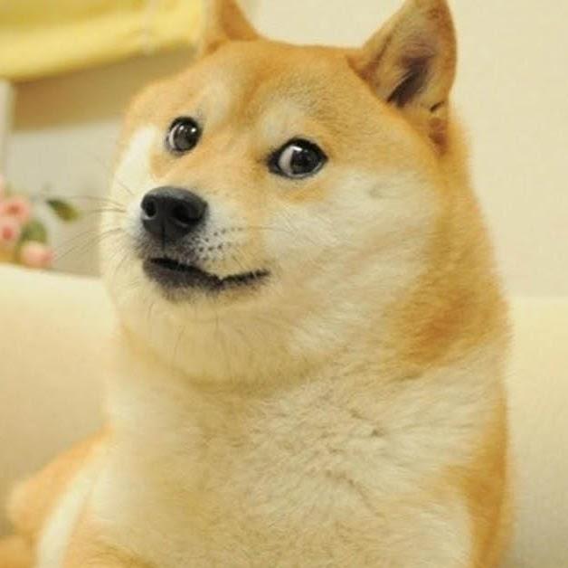 papangkorn udomraksasup