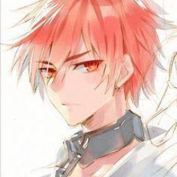 fan cứng Hải Đăng