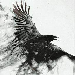 امیر مهدی یزدان پناه