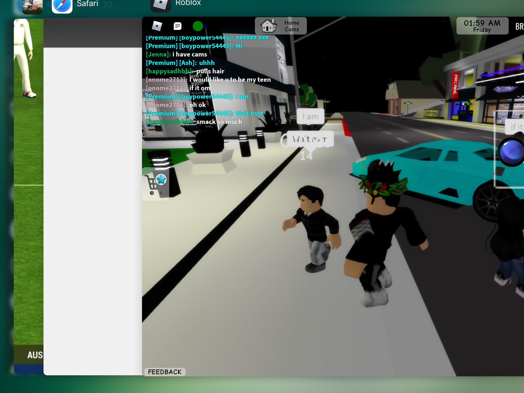 Roblox Gamer