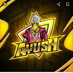 Ayush Kumar VA,Roll no.12,3992