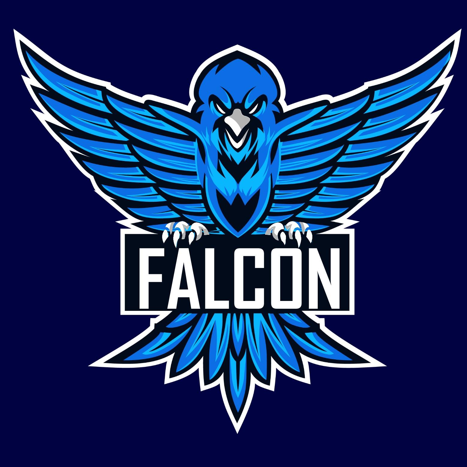 captain falcon
