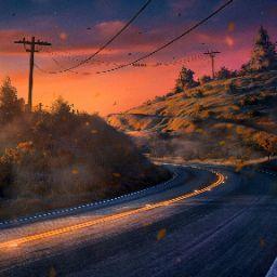 اروین سعیدی فر