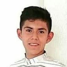 Silva Alcibar Miguel Alejandro