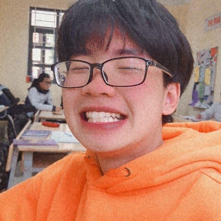 Trần Đình Hải Long