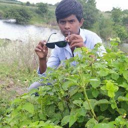 Royal__Status kinemaster editi