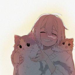 Macchi Chan