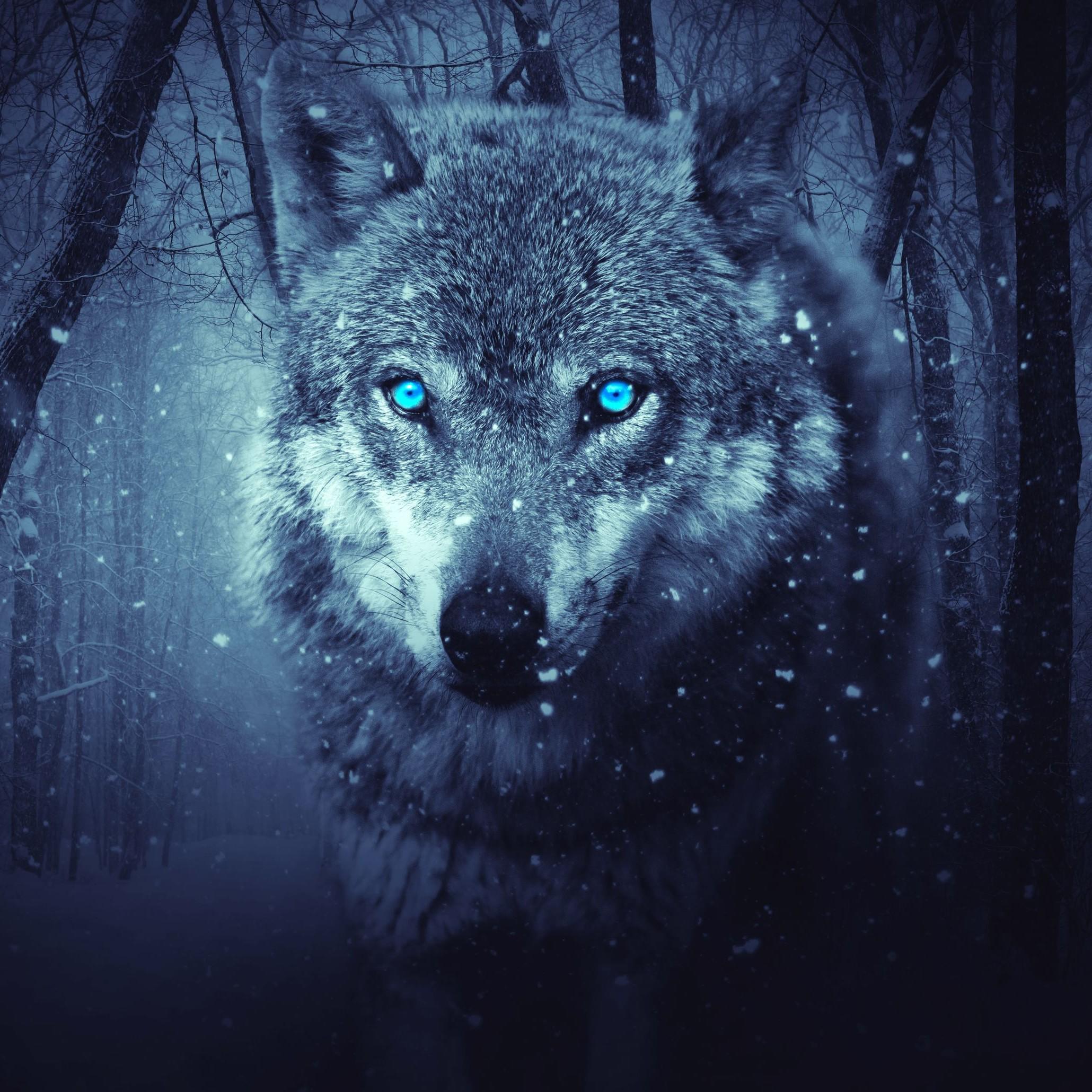 Сергей Кочкин