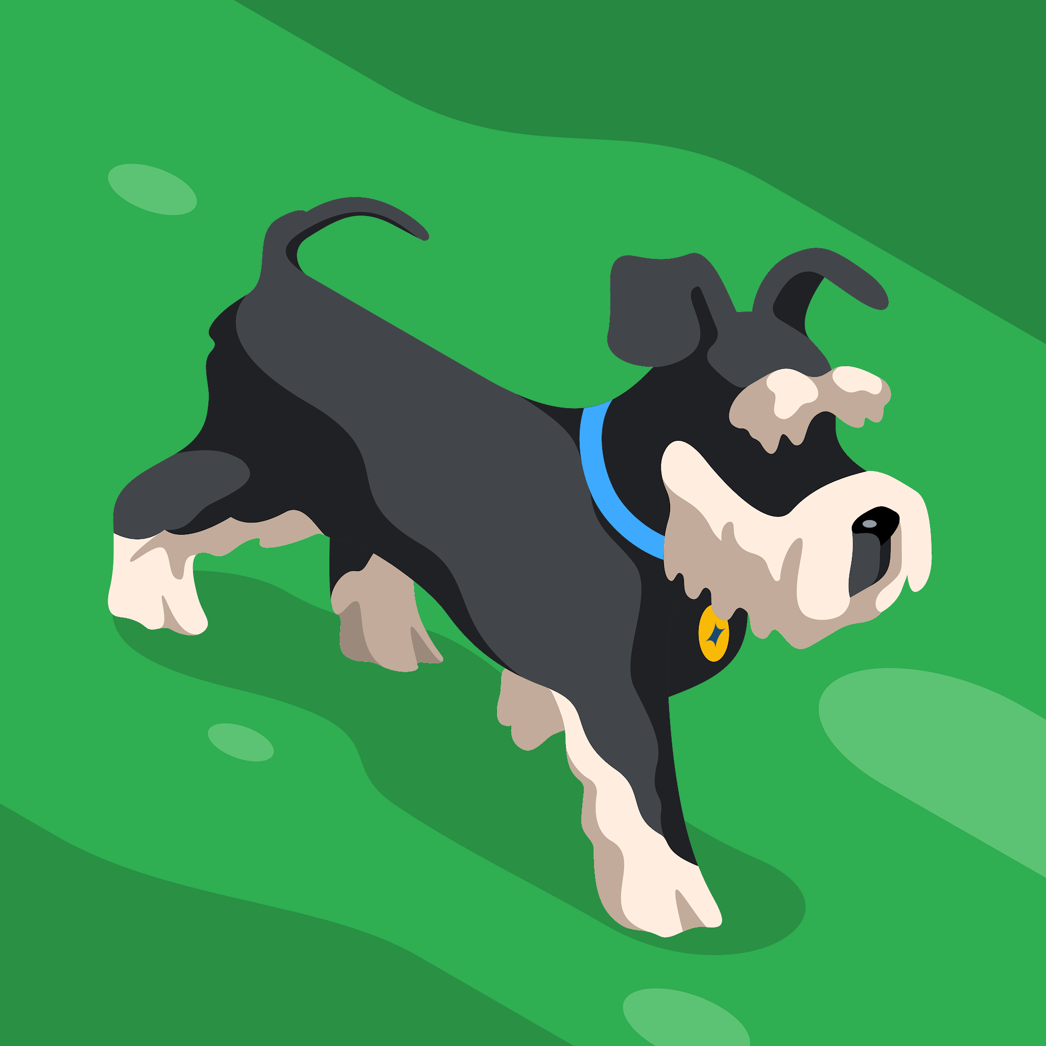 Udeni dos Santos Silva