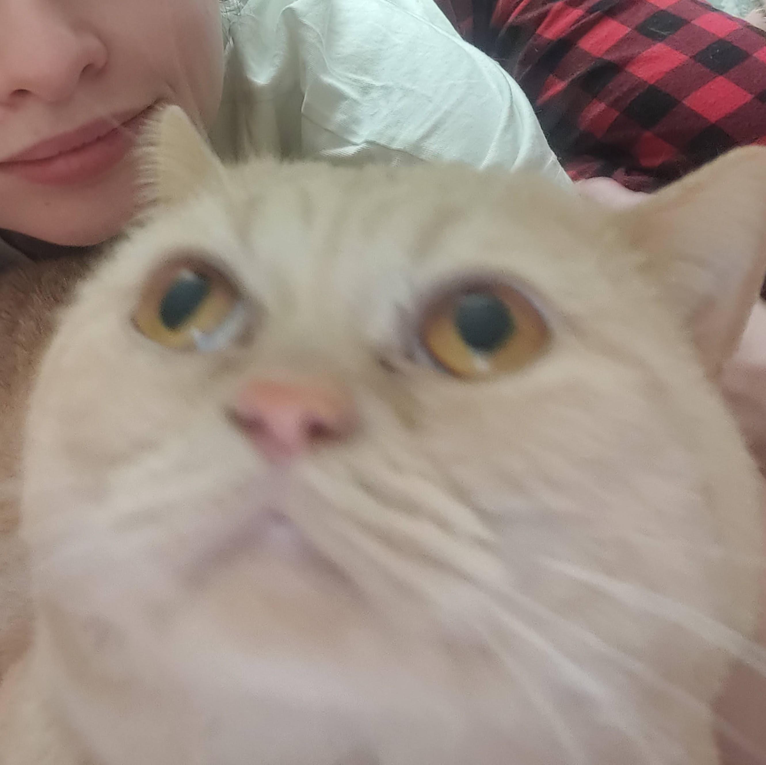 Татьяна Озерова