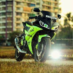 Chocolate by LEO King