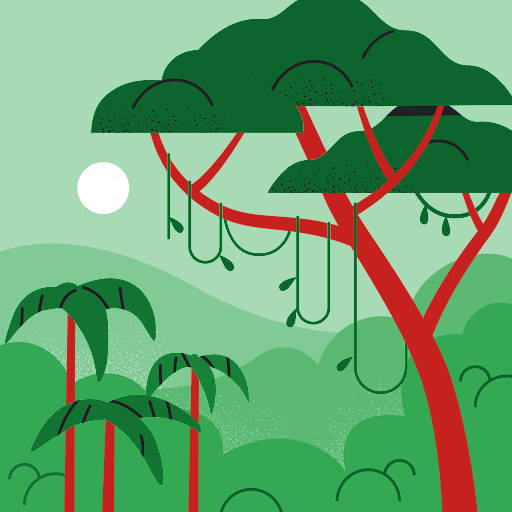 João Carlos Lourenço